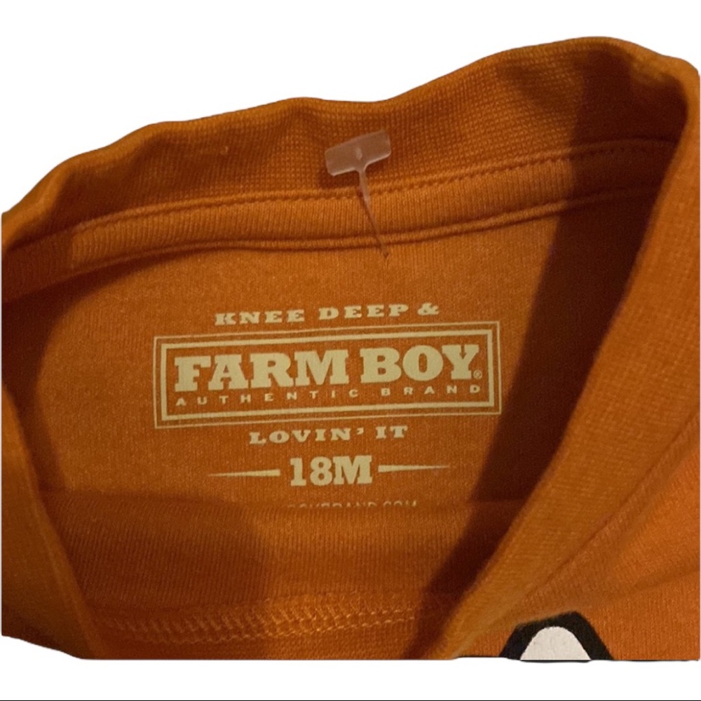 Farm boy - Picture 2 of 2